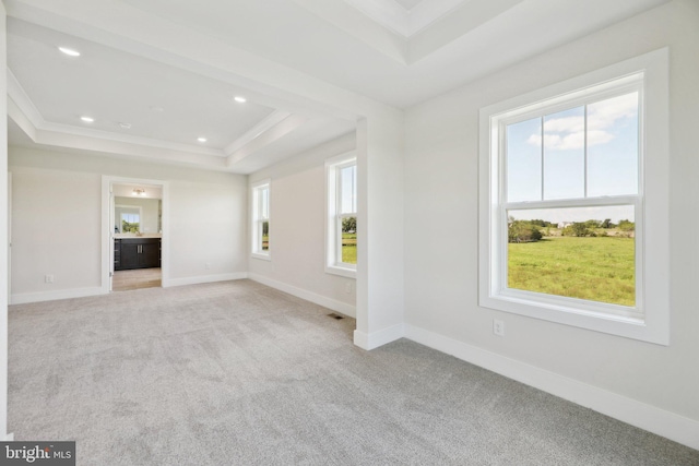 carpeted spare room with ornamental molding and a raised ceiling