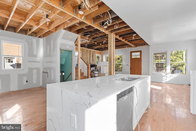 kitchen featuring stainless steel dishwasher, a sink, a wealth of natural light, and light wood-style floors
