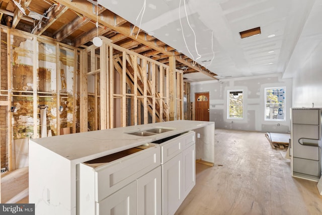 miscellaneous room with light hardwood / wood-style flooring and sink