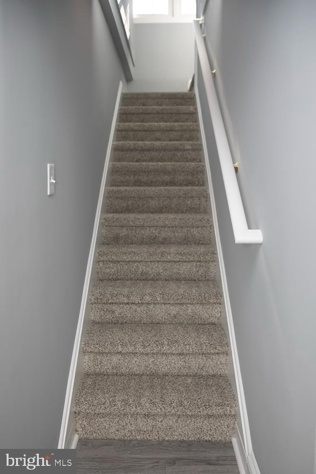 staircase with hardwood / wood-style flooring