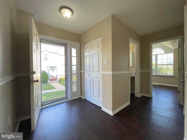 foyer entrance featuring dark hardwood / wood-style floors