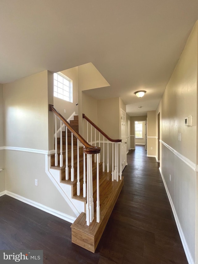 stairs with hardwood / wood-style floors and plenty of natural light