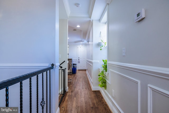 hallway with ornamental molding and dark hardwood / wood-style floors