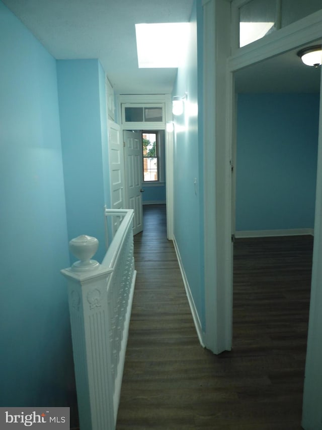 hall featuring dark wood-type flooring