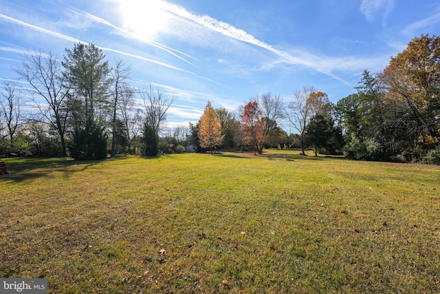 view of yard