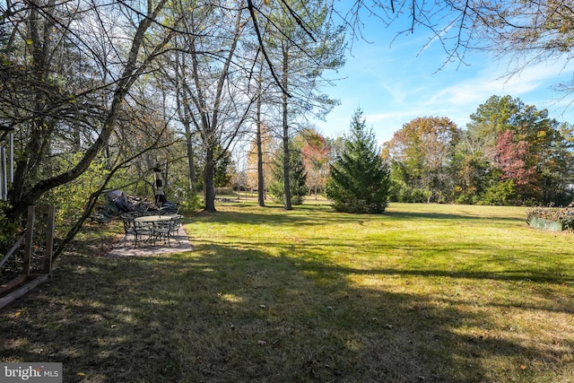 view of yard with a patio