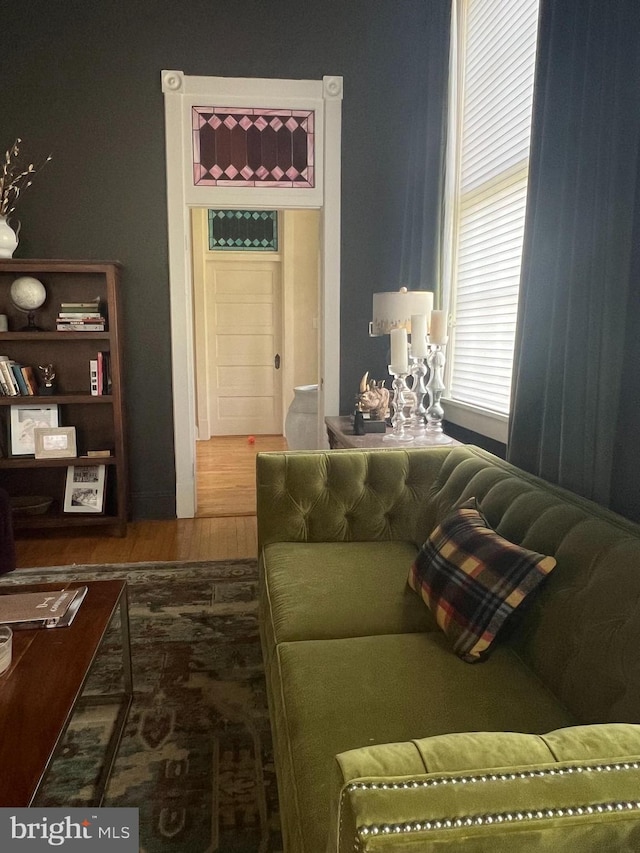 living room featuring dark wood-type flooring