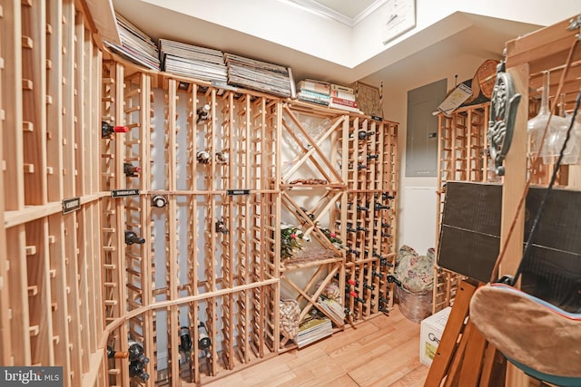 wine cellar with ornamental molding, electric panel, and wood finished floors