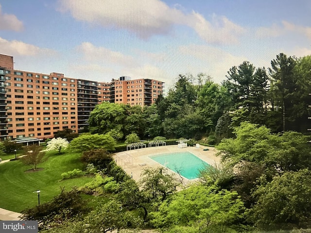 view of swimming pool featuring a patio