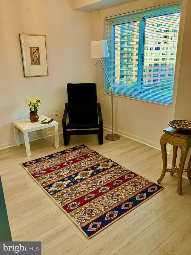 sitting room featuring hardwood / wood-style flooring