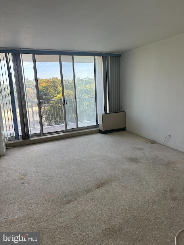 spare room featuring floor to ceiling windows, plenty of natural light, and light carpet