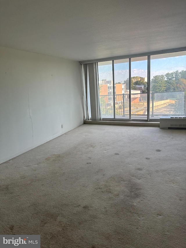 carpeted spare room with expansive windows