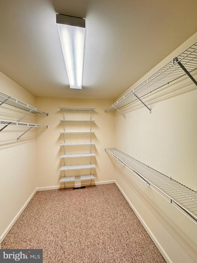 spacious closet with carpet