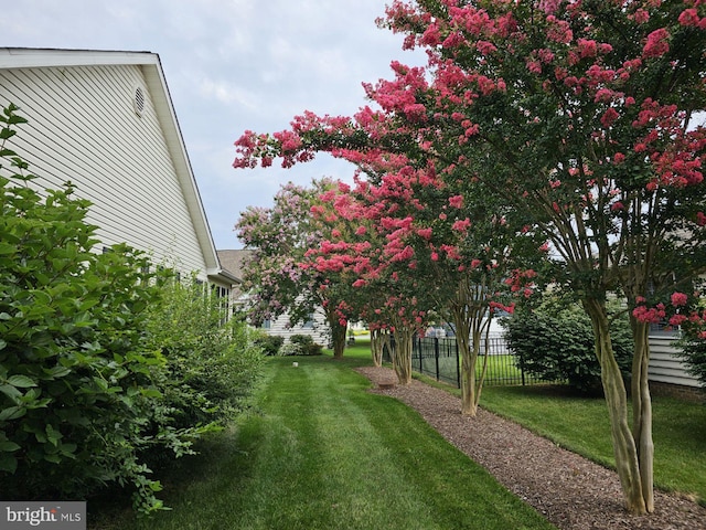 view of yard