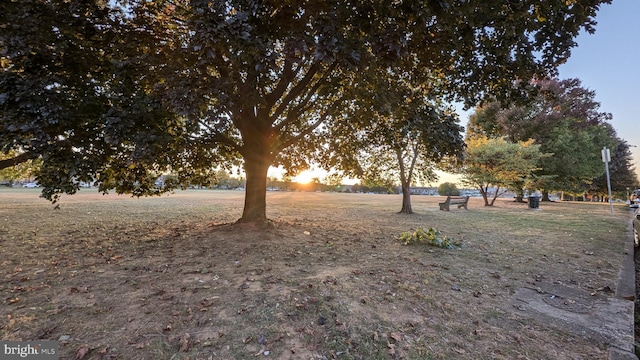 view of yard at dusk