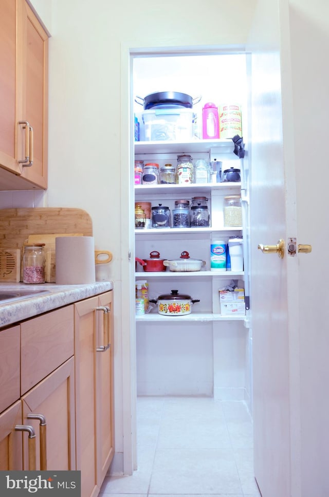 view of pantry