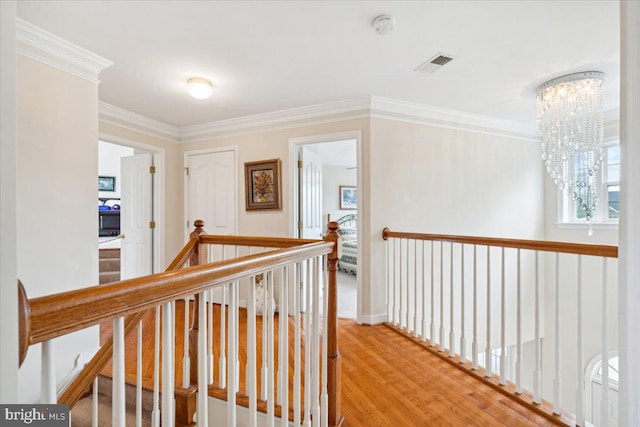 hallway with crown molding, a notable chandelier, and hardwood / wood-style floors