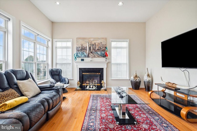 living room with hardwood / wood-style flooring