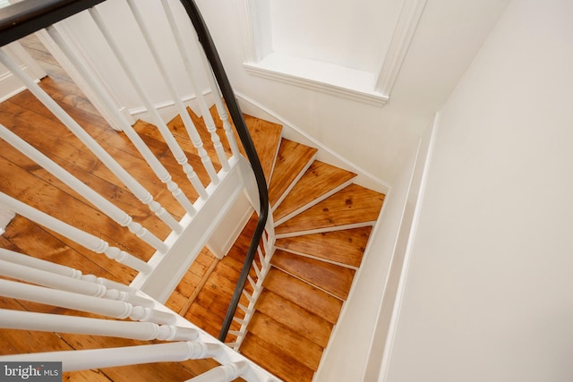 stairway featuring wood-type flooring