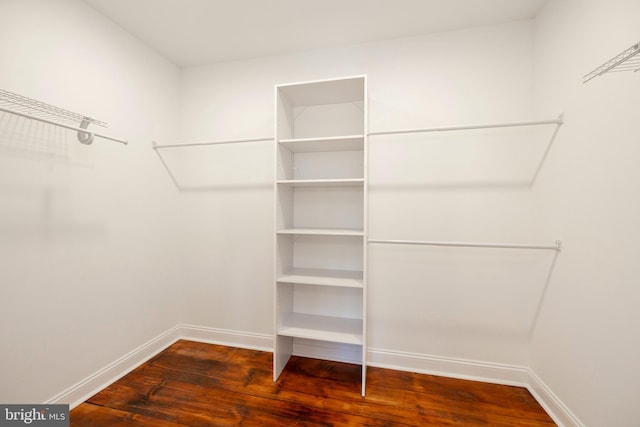 walk in closet featuring dark hardwood / wood-style floors