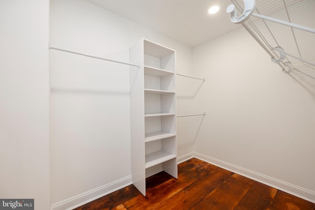 walk in closet featuring dark hardwood / wood-style floors