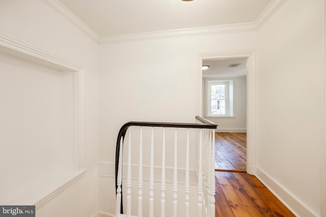 hall featuring crown molding and hardwood / wood-style flooring