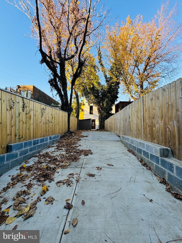 view of yard with a patio