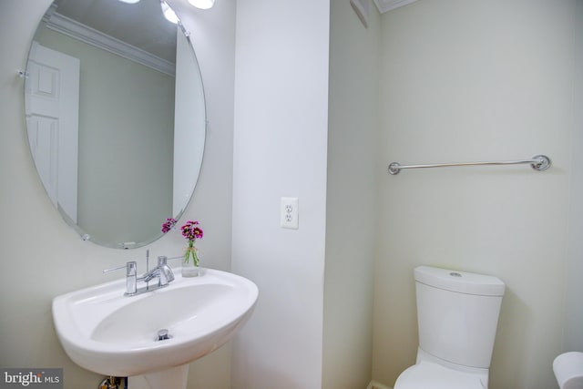 bathroom featuring sink, crown molding, and toilet