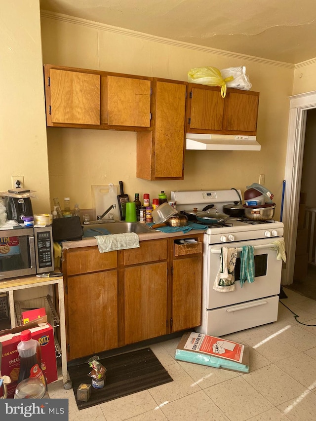 kitchen featuring white gas range oven and ornamental molding