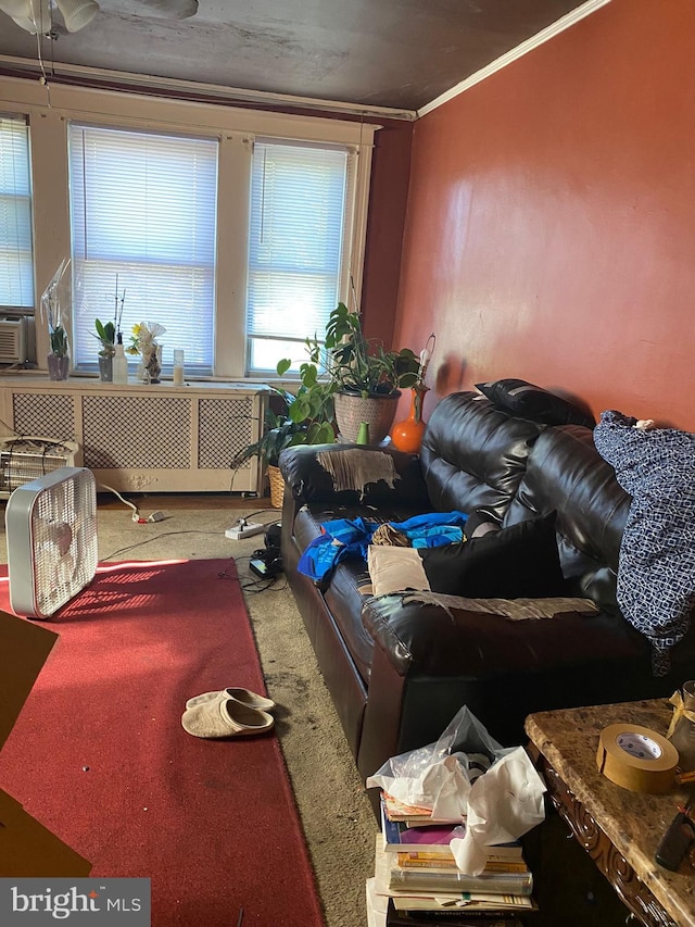 living room with crown molding, carpet, radiator heating unit, and cooling unit