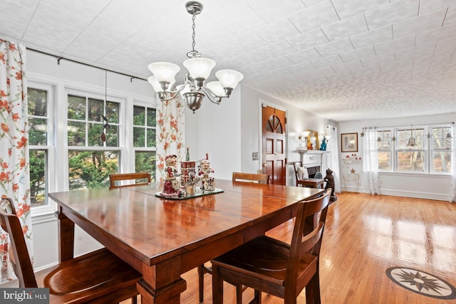 dining area featuring a wealth of natural light, an inviting chandelier, and light hardwood / wood-style floors