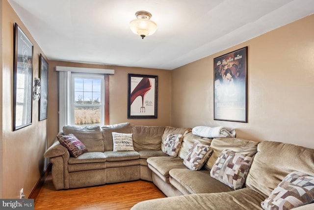 living room featuring hardwood / wood-style floors