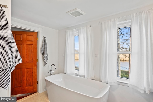 bathroom featuring a bathtub and plenty of natural light