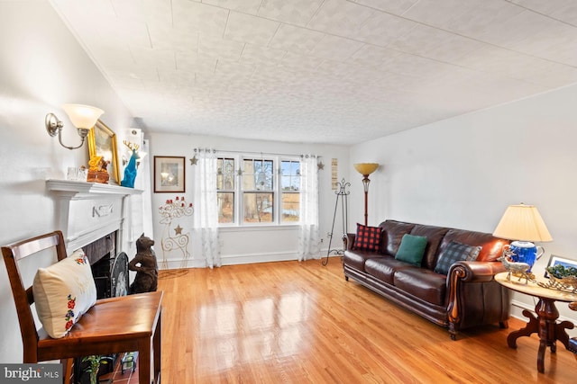 living room featuring light hardwood / wood-style floors