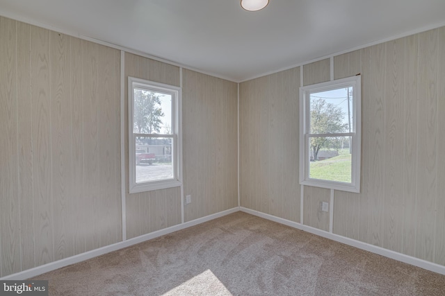 empty room with baseboards, carpet, and plenty of natural light