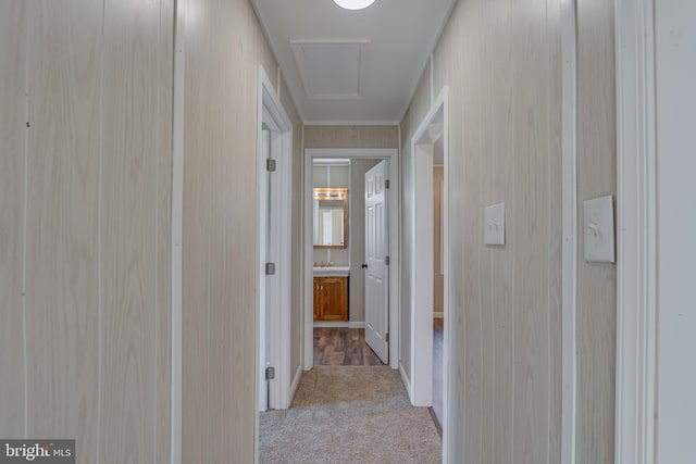 hallway featuring light carpet