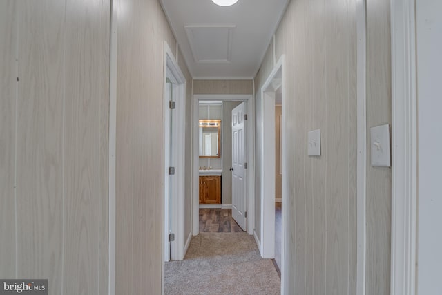 hall featuring attic access, light colored carpet, and crown molding