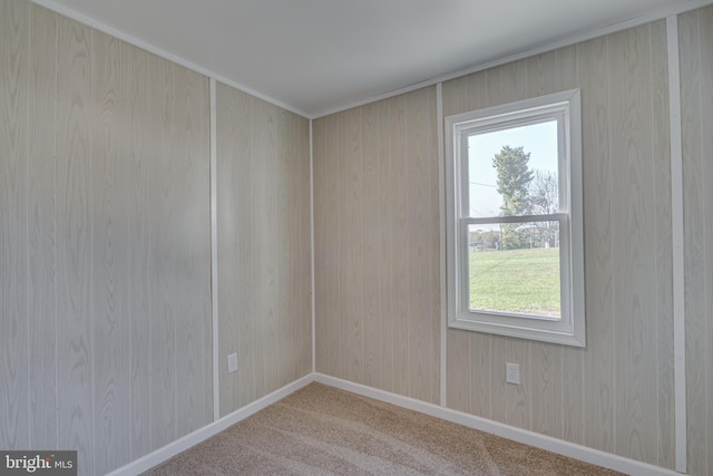 carpeted empty room with wooden walls