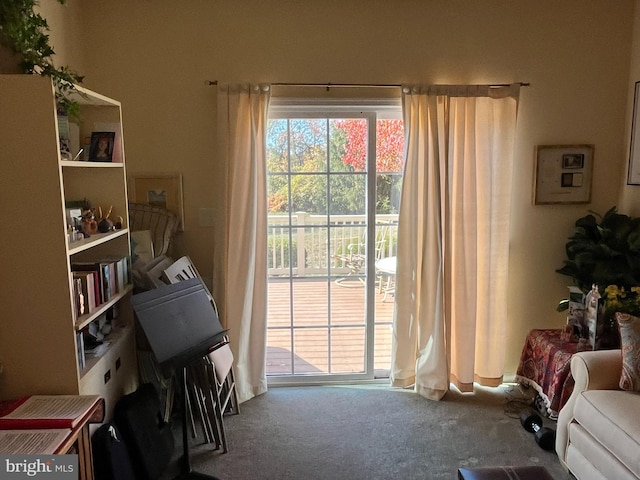 interior space with carpet