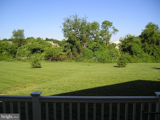 view of yard