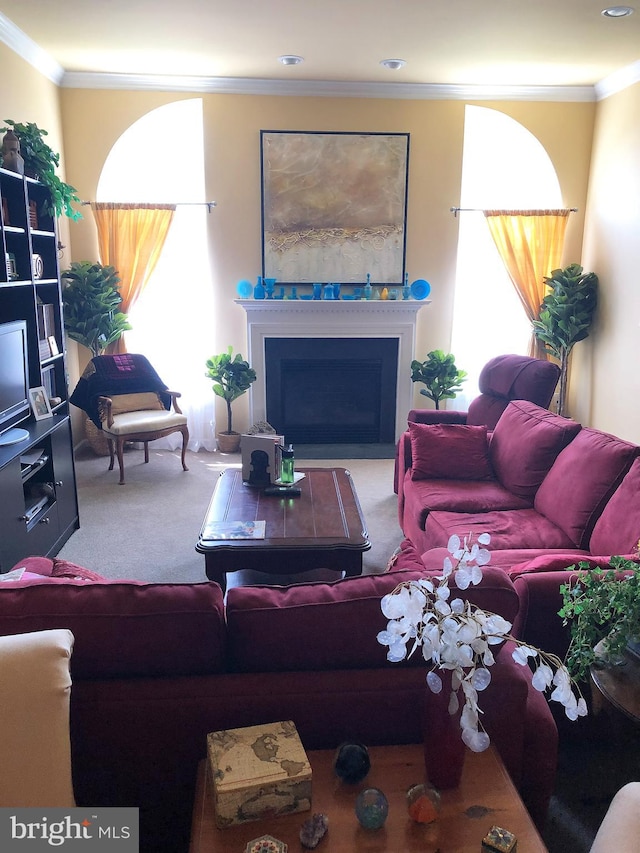 carpeted living room featuring ornamental molding