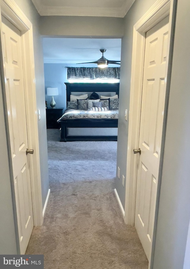 corridor with crown molding and carpet floors