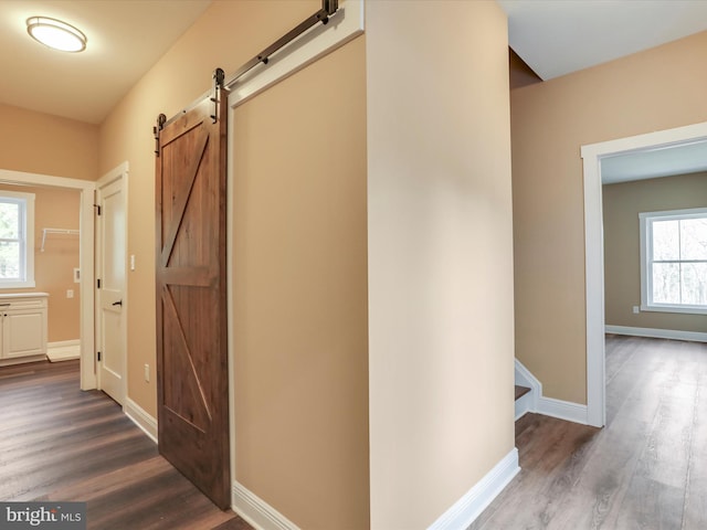 hall with dark hardwood / wood-style floors, a barn door, and a wealth of natural light