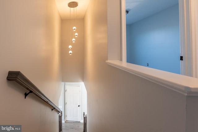 stairway featuring hardwood / wood-style floors