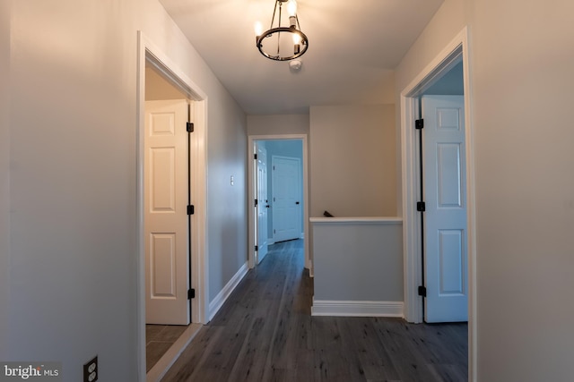 hallway with dark wood-type flooring