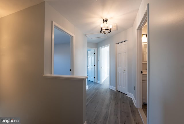 hall with hardwood / wood-style floors