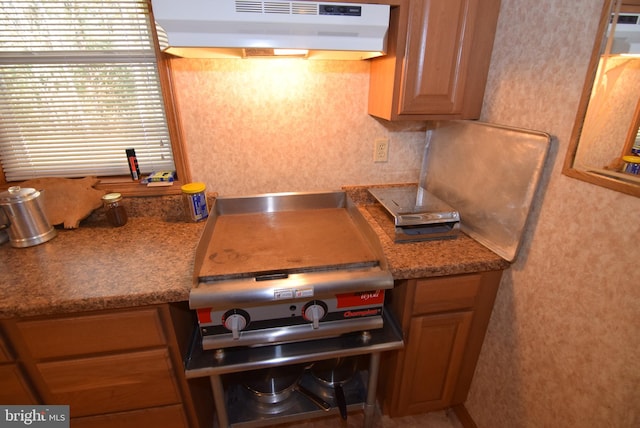 kitchen featuring ventilation hood