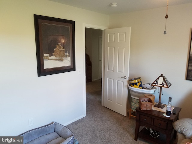 sitting room featuring carpet flooring