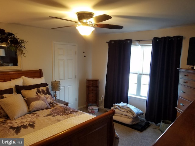 bedroom with carpet, ceiling fan, and multiple windows