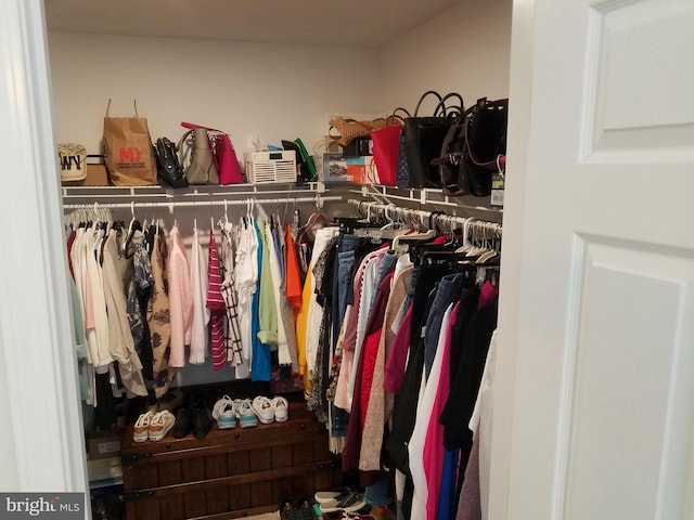 view of spacious closet